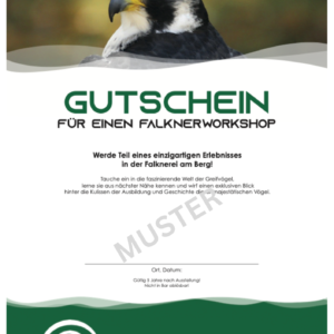 Gutschein Falknerworkshop